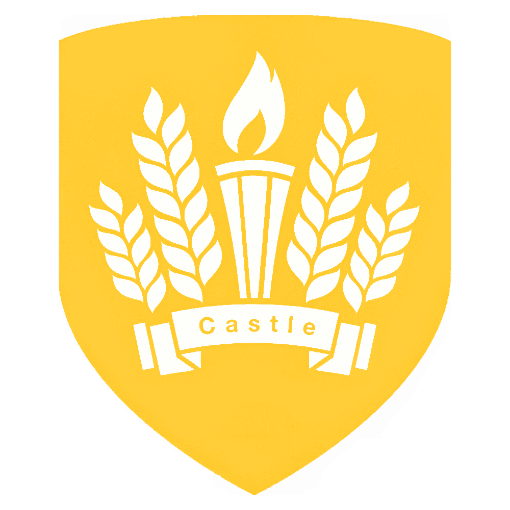 The Castle School logo